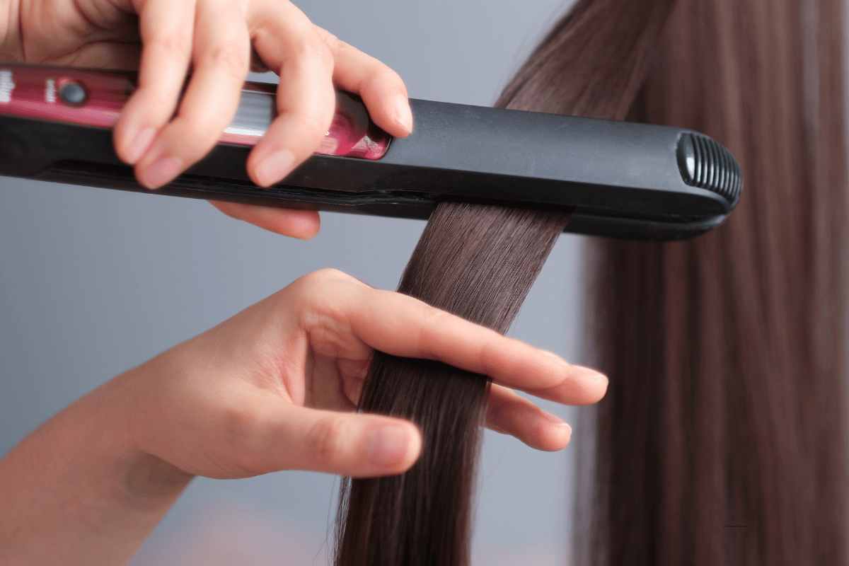 chapinhas boa e baratas